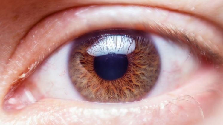 Recomendaciones COVID19 en pacientes con glaucoma